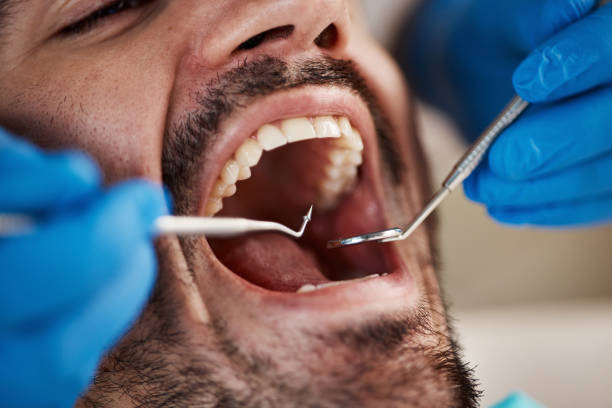  Colonial Rk, PA Holistic Dental Care Services Pros